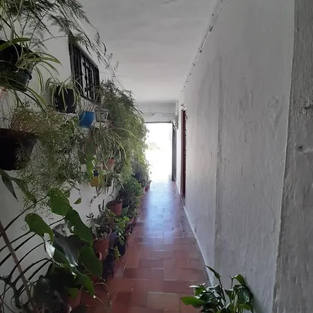 Apartmán Dos Casitas, Dos Calles, - Loft De La Morena O Estudio Jr *